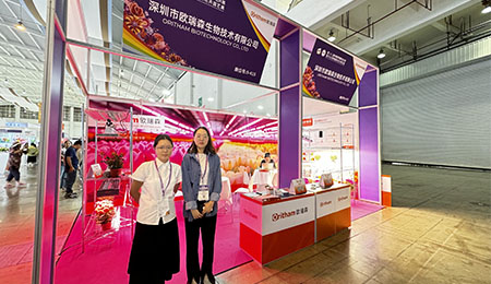 共绘花卉盛景,点亮园艺新未来 —— 第二十二届中国昆明国际花卉展圆满落幕